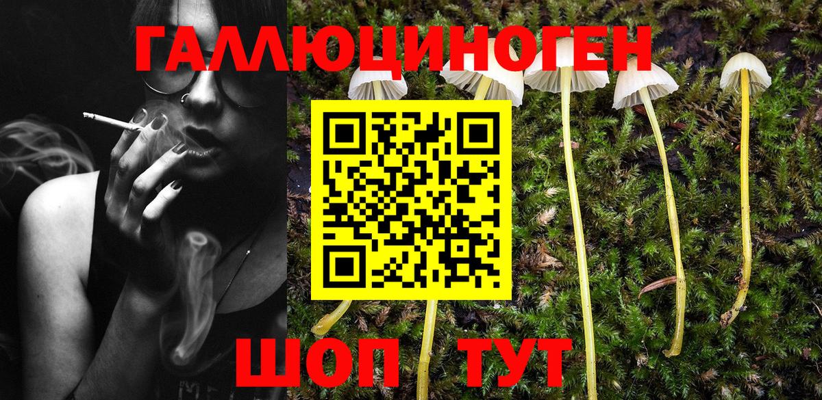 Белогорск  Галлюциногенные грибы Psilocybe  Вход с VPN 